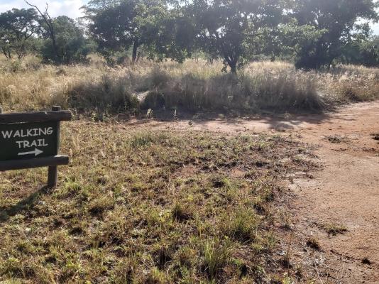 Izintaba Private Game Reserve - 259672