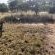 Izintaba Private Game Reserve - 259672