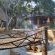 Izintaba Private Game Reserve - 259678