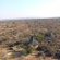 Izintaba Private Game Reserve - 259682
