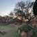 Izintaba Private Game Reserve - 259686