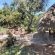 Izintaba Private Game Reserve - 259690