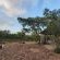 Izintaba Private Game Reserve - 259694