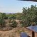 Izintaba Private Game Reserve - 259701