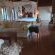 Izintaba Private Game Reserve - 259738