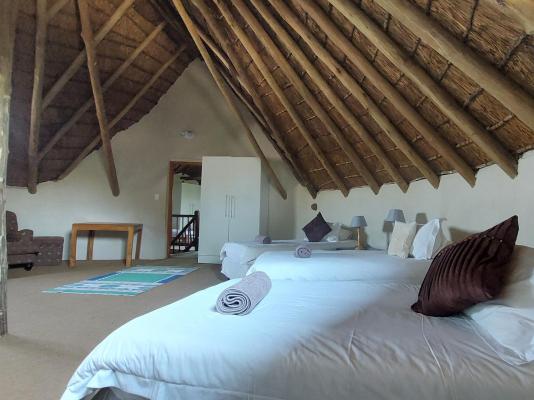 Izintaba Private Game Reserve - 259741