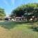 Izintaba Private Game Reserve - 259745