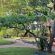 Izintaba Private Game Reserve - 259746