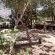 Izintaba Private Game Reserve - 259751