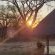 Izintaba Private Game Reserve - 259772