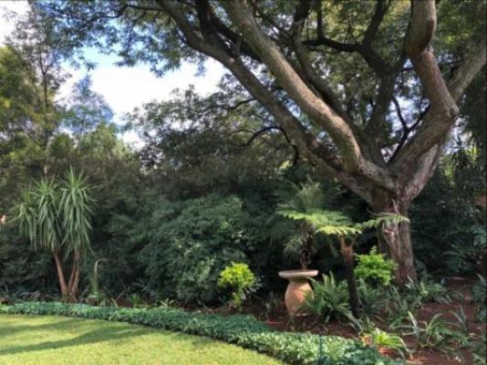 Unitas Guesthouse - Garden