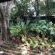 Unitas Guesthouse - Garden