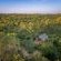Nkuwa Wilderness Camp - 259932