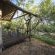 Nkuwa Wilderness Camp - 259943