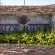 Aloe Ridge Self Catering - Property / Building