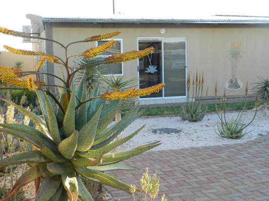 Kalahari Gateway Hotel - 260034