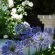 Oxnead Guesthouse - 260067