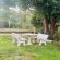 Pholanathi Lodge - Garden