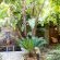Misty Hills Country Hotel - 260144