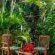 Lidiko Lodge - 260164