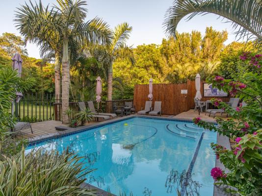 Elephant Coast Guesthouse - 260284