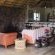 Ngonyam Safari Lodge - Lounge or bar