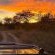 Ngonyam Safari Lodge - Natural landscape