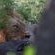 Ngonyam Safari Lodge - Natural landscape