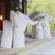 Ngonyam Safari Lodge - 260477