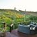 Sibuya Game Reserve & Lodge - 260493