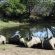 Sibuya Game Reserve & Lodge - 260508