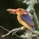 Sibuya Game Reserve & Lodge - 260516