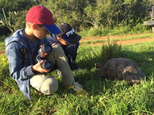 Sibuya Game Reserve & Lodge - 260522