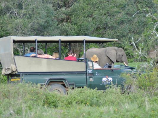 Sibuya Game Reserve & Lodge - 260524