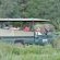 Sibuya Game Reserve & Lodge - 260524