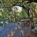 Sibuya Game Reserve & Lodge - 260537