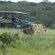 Sibuya Game Reserve & Lodge - 260539