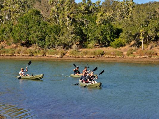 Sibuya Game Reserve & Lodge - 260540