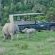 Sibuya Game Reserve & Lodge - 260542