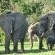 Sibuya Game Reserve & Lodge - 260544