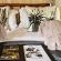 Sibuya Game Reserve & Lodge - 260547