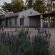 The Falls Guest House - 260611