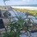 Pearl White Sands - 260688