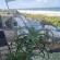 Pearl White Sands - 260688