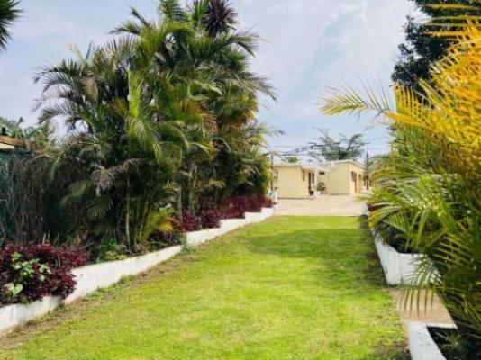 Daph's B&B - Garden
