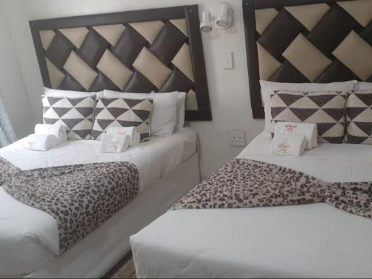 Daph's B&B - 260866