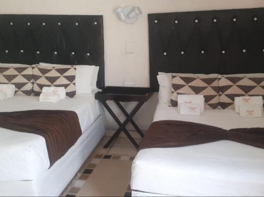Daph's B&B - 260893