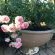 Peaches and Cream Bed and Breakfast - 261128