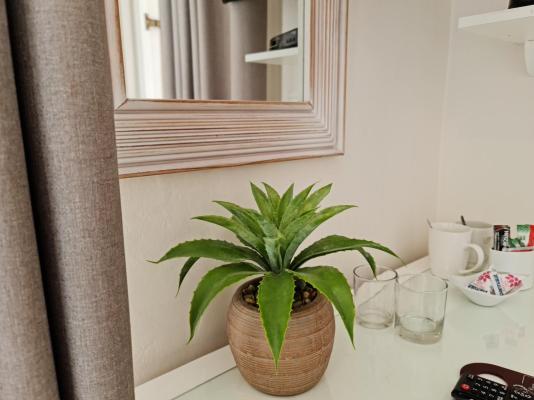 Room image 30