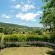 Beside Still Waters - 261326